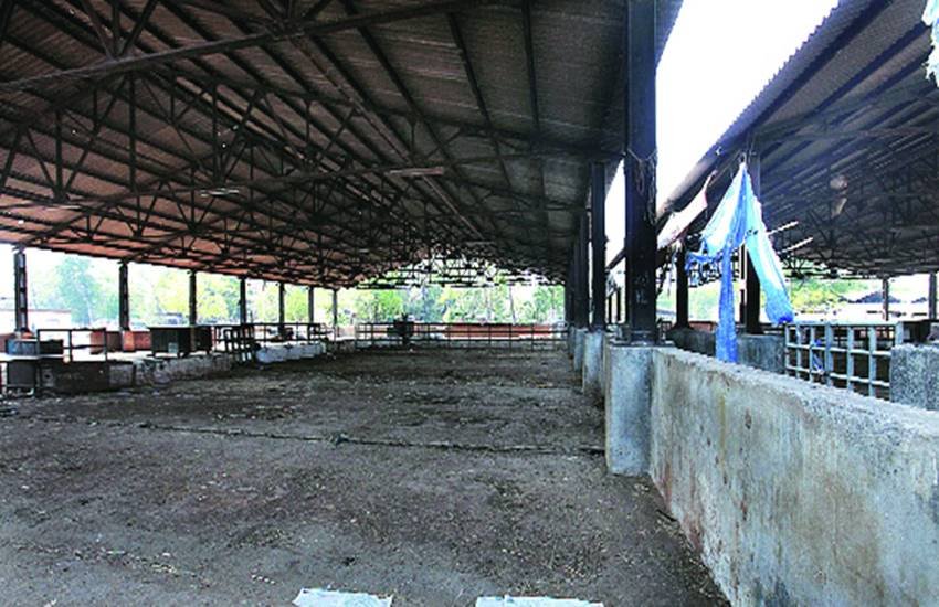 slaughter house, slaughterhouse, BJP, Satya Sharma, EDMC, Delhi, Delhi Slaughterhouse, killing, Illegal curb, up administration, up cm yogi, yogi government, vigorously against slaughterhouses, slaughterhouses