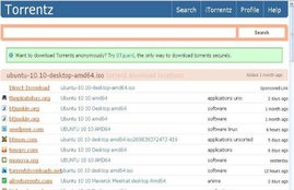 torrent, jail, torrent ban