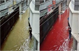 Eid al-Adha, Blood Poured Streets in Dhaka, festival of sacrifice, Dhaka Blood filled Streets photos, Slaughter animal blood, Bangladesh, Photoshopped Pictures