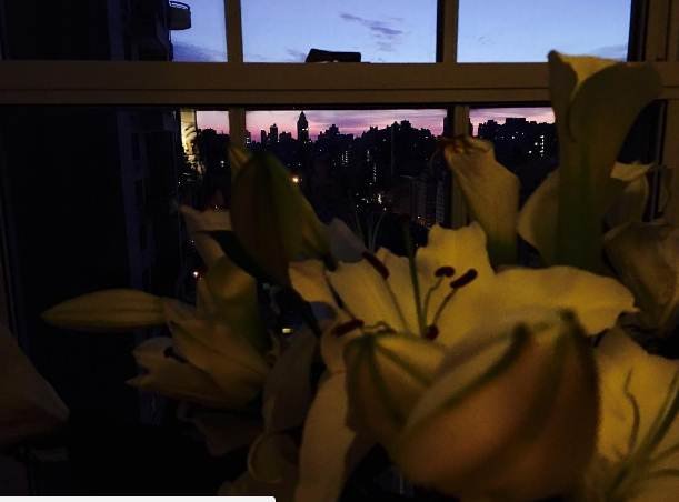 priyanka chopra,quantico,priyanka chopra new york apartment,new york