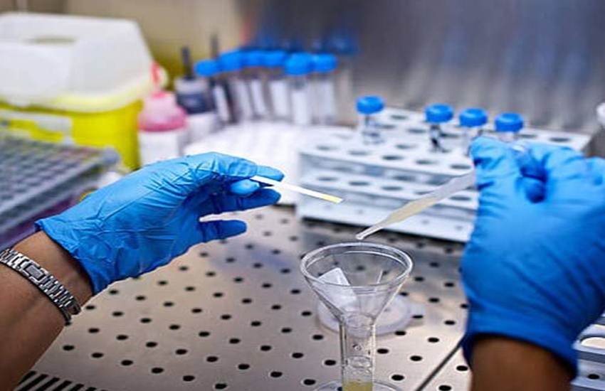 मेडिकल कॉलेज अस्पतालों में चिकनगुनिया व स्क्रब टाईफस की फ्री जांच मेडिकल कॉलेज अस्पतालों में चिकनगुनिया व स्क्रब टाईफस की फ्री जांच