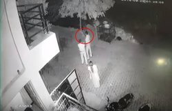 UP पुलिस के दरोगा ने कुत्ते पर की फायरिंग, वायरल हुआ वीडियो