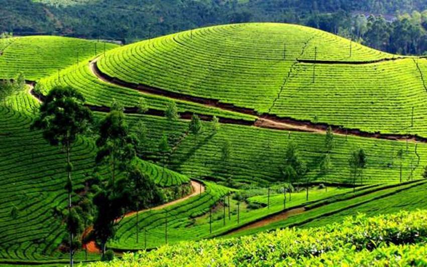world tourism day, world tourism day 2016, tourism, tourism day, tourism day 2016, world tourism day 2016 india, tourism day 2016 india