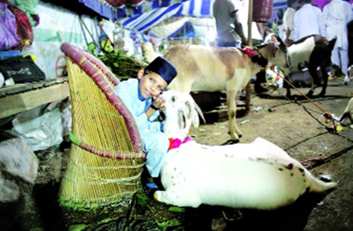 अभी मवेशी बाजार में जगह-जगह घुंघरू बंधे और रंग-बिरंगे सजे बकरों को देखा जा सकता है