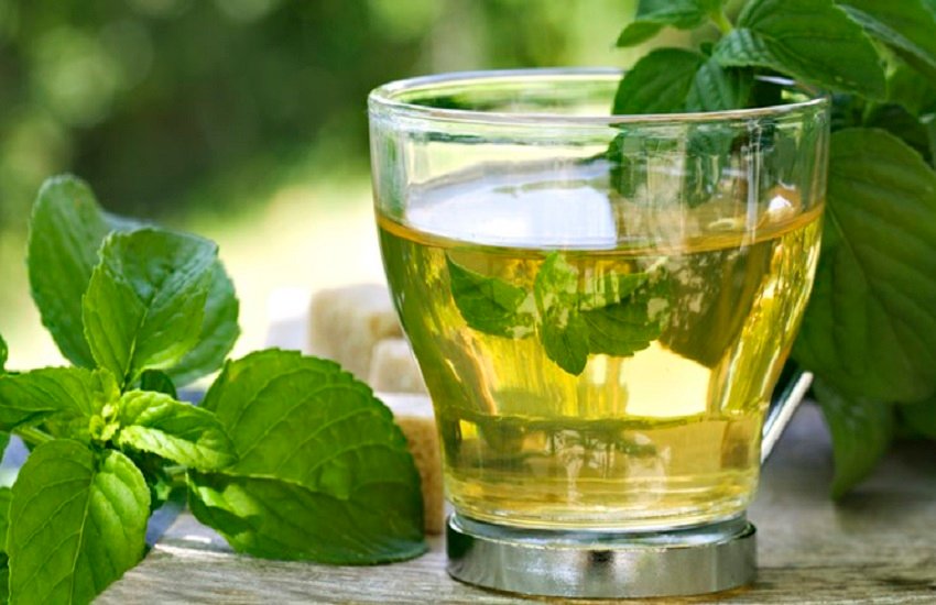 green tea, benefits of green tea, cancer, green tea in morning, how to, tea, lose weight, blood pressure control, health tips, health news