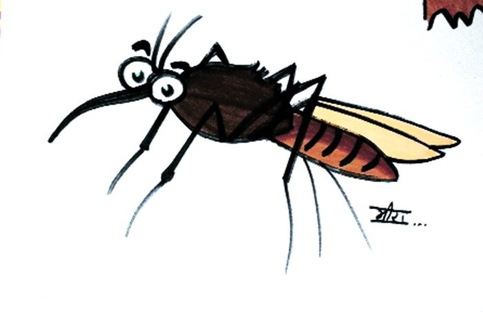 मच्छर।
