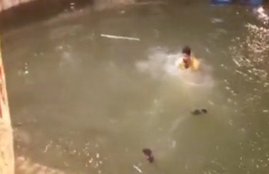 वीडियो का स्क्रीनशॉट