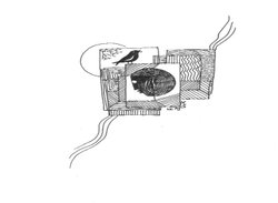 स्मरण- अगले जमाने में कोई मीर भी था