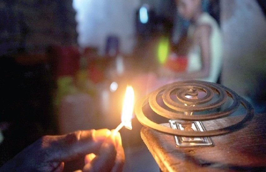 mosquito, mosquito coil, harmful effects of Mosquito coil, One Mosquito coil equals 100 Cigarettes, side effects of Mosquito coil,Cigarettes, Cigarettes smoke, health tips, heath news