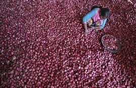 Onion, benefits of onion, Benefits of eating onion, health benefits, Health news, Sleeping problems, Skin problems, cold home remedies, home remedies