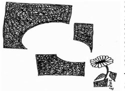 किसका है रसगुल्ला