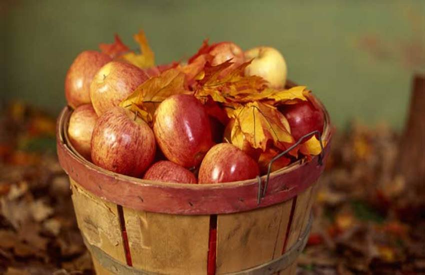 Vegetables, fruits, benefits of fruits, benefits of fruit's peel, benefits of peel, benefits of vegetable's peel, health tips, peels for face, health news