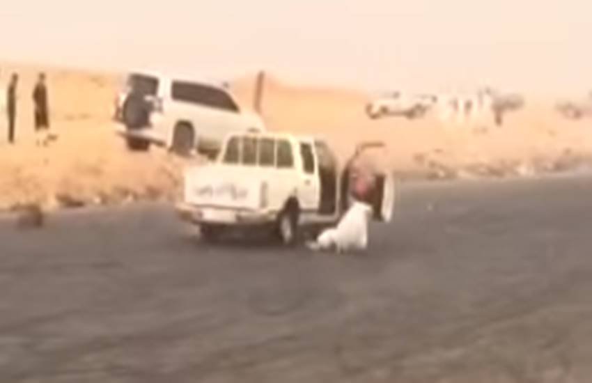 Saudi arab, video, speeding car