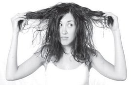 Hairs. White Hairs, Black Hairs, home remadies for Hairs, How to turn white hairs in black, Health tips, Health News