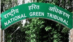 NGT Delhi, NGT DIESEL Bus, Delhi DIESEL Bus, NGT News, NGT latest news