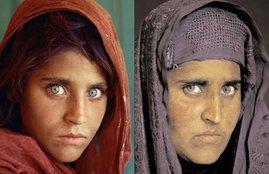 Afghan girl, Afghan girl Sharbat Gula, Afghan girl Sharbat, Sharbat Gula India, Afghan Girl in india