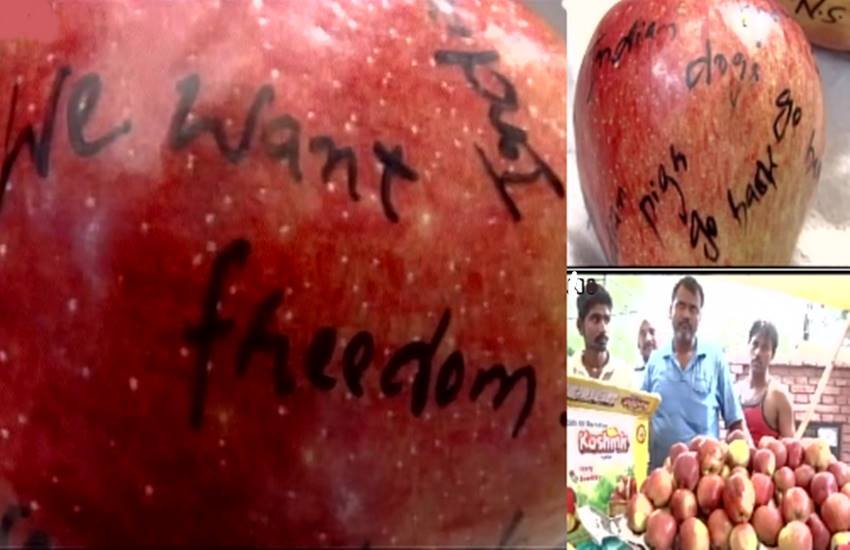 सेब कश्मीर से आए थे। (Photo-ANI)