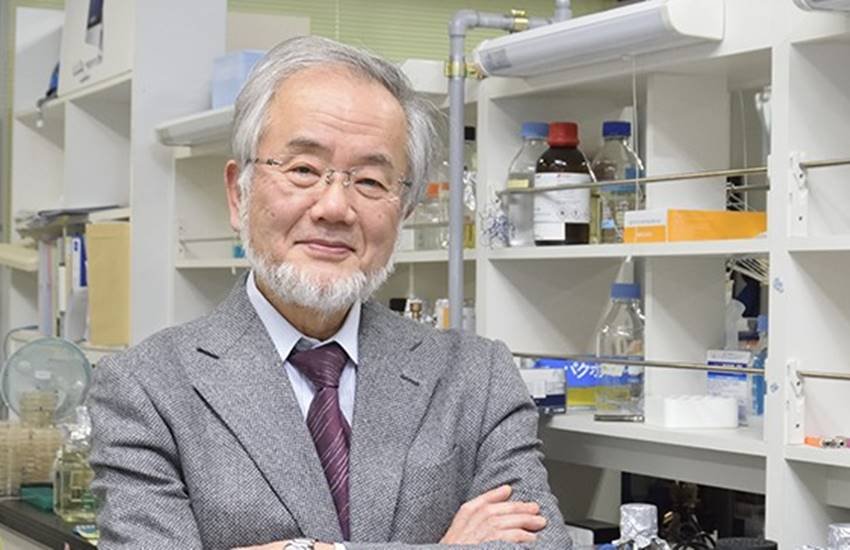 Nobel Prize, Nobel Prize for Medicine, Japani Biologist Yoshinori Ohsumi, Honorary Professor Yoshinori Ohsumi, Stockholm, Sweden, Autophagy, Christian de Duve, Nobel Prize Foundation