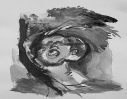 ललित प्रसंग: बौखलाने का समाजशास्त्र