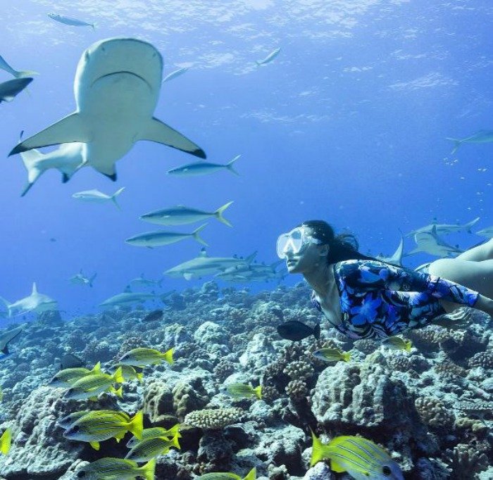 अपने इंटरव्यू में उन्होंने बताया कि अंडरवॉटर फोटोशूट के लिए वो केवल 3 फोटोग्रफर्स पर भरोसा करती हैं।