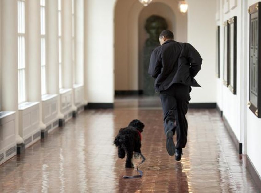 barack obama, us president, america president, Barack Obama tenure, Barack Obama photos, Barack Obama life, barack obama cool photos, barack obama daughters, barack obama news, america news, jansatta