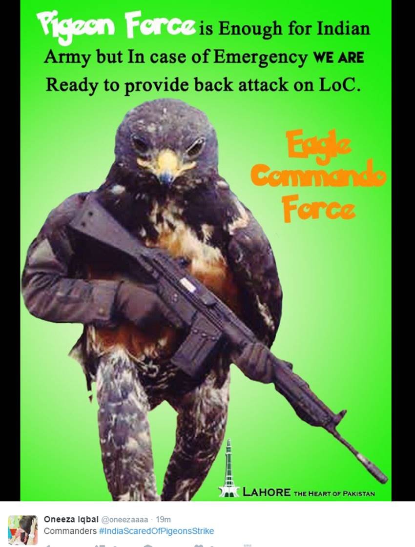 Pigeons, Spy Pigeons, Pigeons Strike, Pigeons for Modi, Narendra Modi, Surgical strike, indian army, pakistan twitter, Funny tweets, India pakistan war, social media, viral post, jansatta
