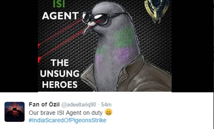 Pigeons, Spy Pigeons, Pigeons Strike, Pigeons for Modi, Narendra Modi, Surgical strike, indian army, pakistan twitter, Funny tweets, India pakistan war, social media, viral post, jansatta