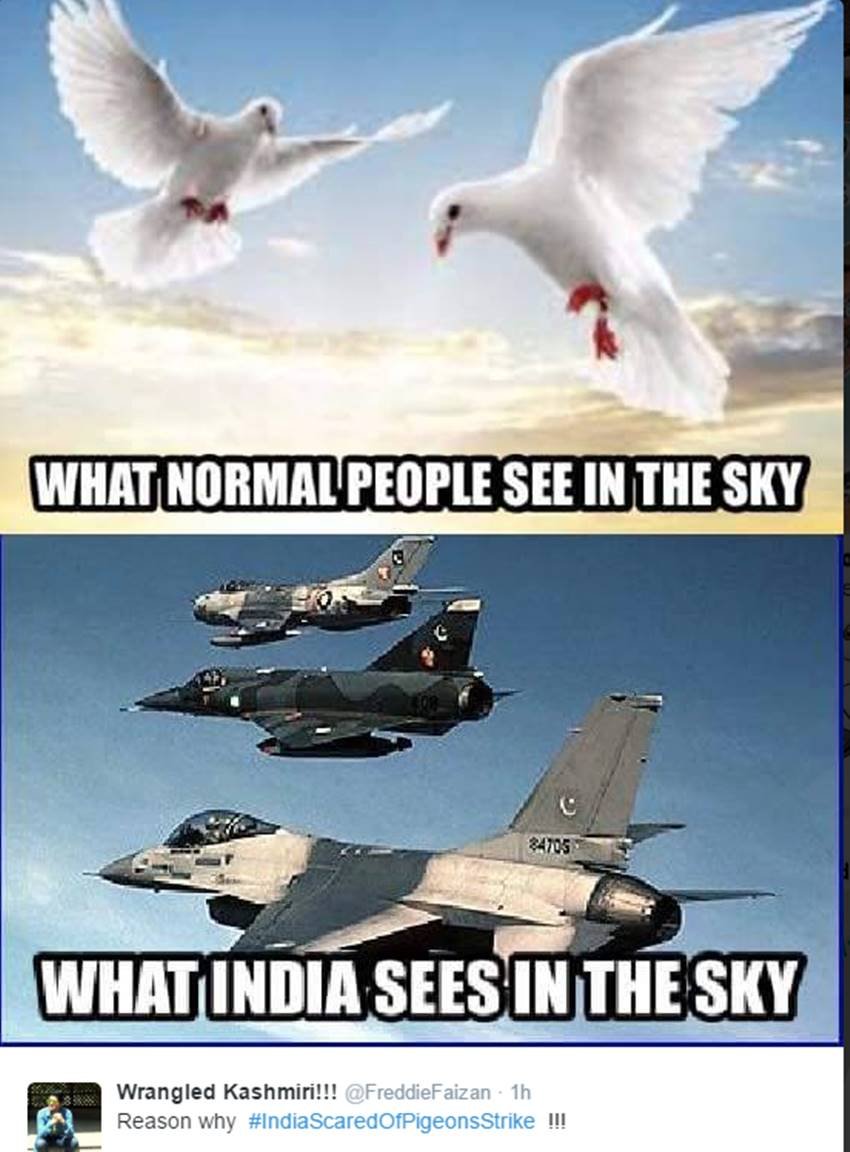 Pigeons, Spy Pigeons, Pigeons Strike, Pigeons for Modi, Narendra Modi, Surgical strike, indian army, pakistan twitter, Funny tweets, India pakistan war, social media, viral post, jansatta
