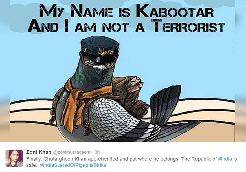 Pigeons, Spy Pigeons, Pigeons Strike, Pigeons for Modi, Narendra Modi, Surgical strike, indian army, pakistan twitter, Funny tweets, India pakistan war, social media, viral post, jansatta