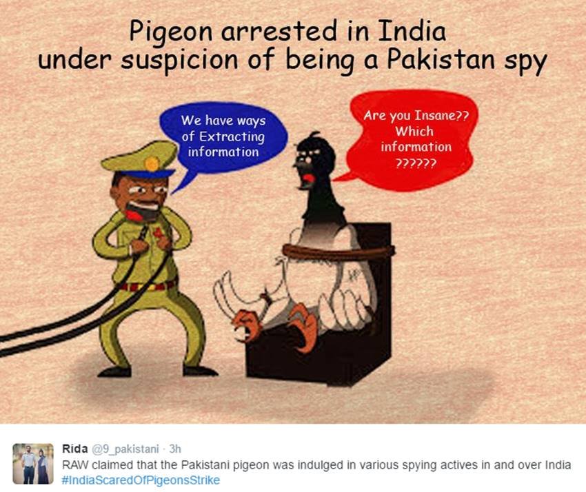 Pigeons, Spy Pigeons, Pigeons Strike, Pigeons for Modi, Narendra Modi, Surgical strike, indian army, pakistan twitter, Funny tweets, India pakistan war, social media, viral post, jansatta