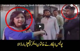 female Reporter, Live, Slapped, Reporter Slapped live