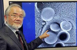 Nobel prize medicine, Japan Yoshinori Ohsumi, Nobel Yoshinori Ohsumi, medicine Nobel prize 2016, Nobel prize Winner 2016