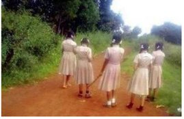 Women,sticks,sexual harassment,girls,bully by its horns