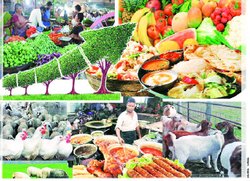 रविवारीः शाकाहार बनाम मांसाहार