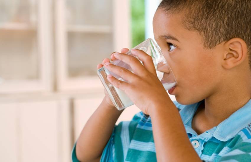 cow milk, buffalo milk, benefits of cow milk, benefits of buffalo milk, cow milk vs buffalo milk, difference between cow milk and buffalo milk, health tips, health news