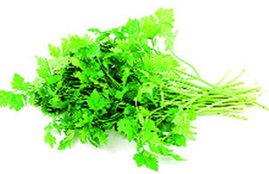 benefits of Coriander, Coriander, Coriander leaves, benefits of Coriander leaves, hara dhaniya, dhaniya, benefits of dhaniya, dhaniya ke fayde, dhaniya for health, health news, health tips