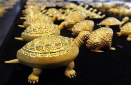 dhanteras, dhanteras 2016, dhanteras gifts, dhanteras special gifts, dhanteras gifts idea, dhanteras silver gifts, dhanteras gifts india, dhanteras gifts for employees, dhanteras gifts for friends, dhanteras gifts for family, dhanteras gifts ideas for friends, dhanteras 2016 gifts, dhanteras 2016 date in india, dhanteras 2016 date, Lifestyle news