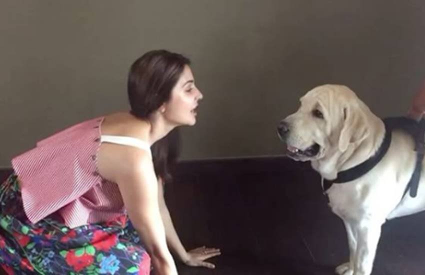 Anushka Sharma, Ae dil hai mushkil, Anushka sharma in Ae dil hai mushkil, Ae dil hai mushkil star cast, dude kissed anushka sharma, dude kissed anushka sharma, anushka dog kiss video, bollywood news, entertainment news