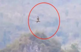 dragon in china video, dragon china video, dragon caught on camera, land of the red dragon, china dragon video, real dragon video, viral videos