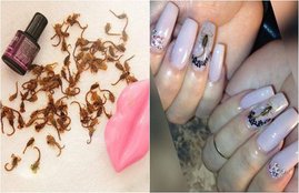 nail art, bbay scorpion, nail polish, venom