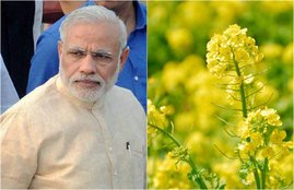 Genetic Engineering Appraisal Committee, Rashtriya Swayamsevak Sangh, RSS, Radha Mohan Singh, Anil Dave, Harsh Vardhan, Deepak Pental, Farming, Technology, Jansatta