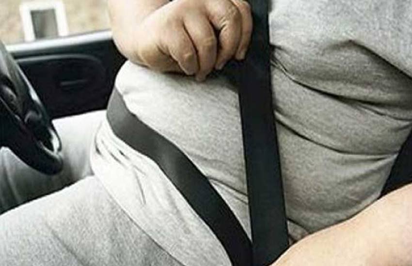 healthy obesity, Disadvantages Of healthy obesity, cardiovascular disease, Harms Of cardiovascular disease, cardiovascular disease Due To Obesity, cardiovascular disease During Obesity, Obesity Cause cardiovascular disease, healthy obesity is a myth, Health News In Hindi, Lifestyle News In Hindi, Jansatta