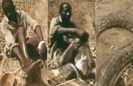 python, python videos, man catches python with leg