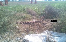 punjab, rusted bombs, latest news