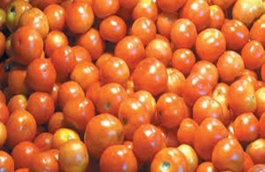 tomato, tomatoes, kidney stone, kidney, stone, stone because of tomato, tomatoes causes stone, health tips, causes of kidney stone, health news