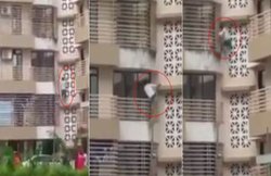 VIDEO: मां को पड़ोसी ने मारा थप्पड़, बदला लेने के लिए तलवार लेकर दीवार से तीसरे फ्लोर पर चढ़ गया, देखिए फिर क्या हुआ