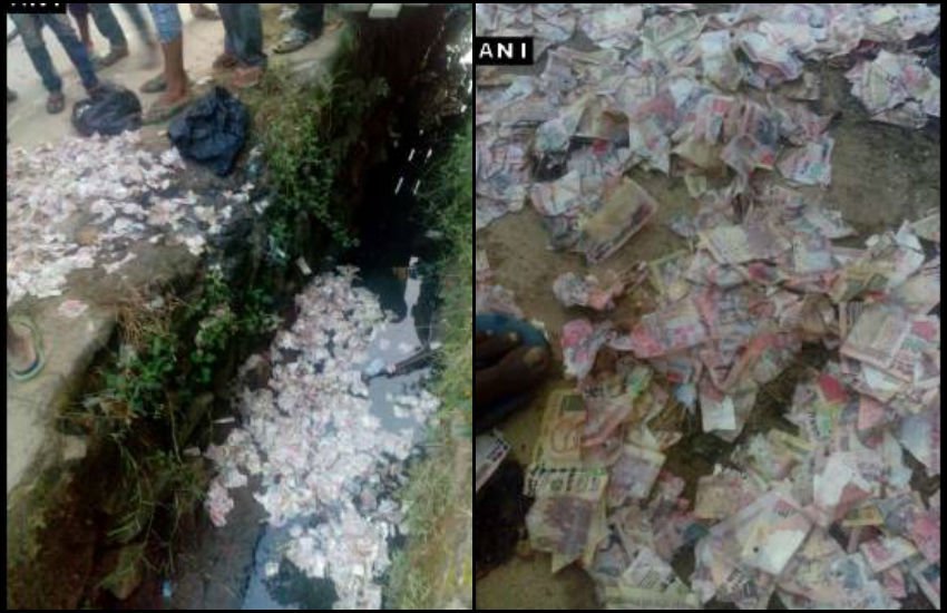 नाले में फटे मिले 500 और 1000 रुपए के कई नोट। (Photo: ANI)