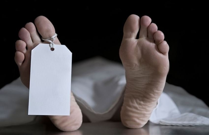 Delhi, Delhi news, Delhi crime news, Wooden factory, factory, worker dies, death, Air jet, Delhi police, Nanglo, Arrah, Hindi news, News in Hindi, Jansatta