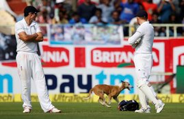 Vizag Test Match, India vs England Test Match, Test Match between India and England, Dog Disrupts Match, Cheteshwar Pujara, Puajara Century, Dog keep waiting pujara for Century, Visakhapatnam Test Match, Sports News, Cricket News