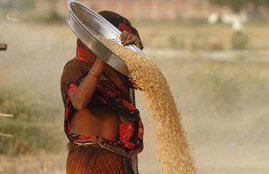 National Food Security Act, Ram Vilas Paswan, food subsidy, subsidised food grain, rice, wheat, modi govt, food welfare programme, NFSA, MSP, jansatta